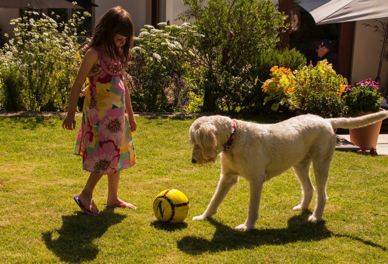 Usk Open Gardens